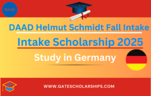 DAAD Helmut Schmidt Fall Intake Scholarship 2025
