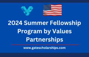 2024 Summer Fellowship Program by Values Partnerships