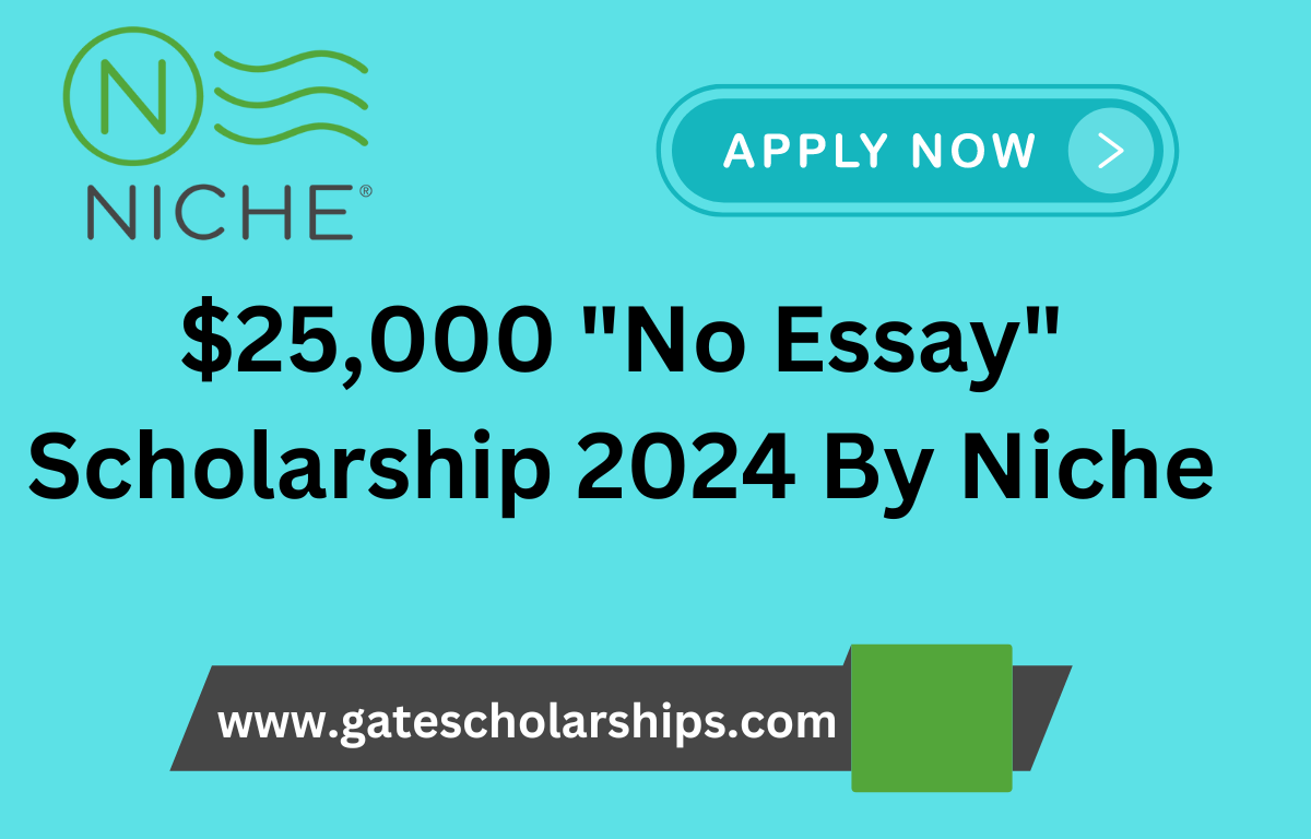 Niche No Essay Scholarship 2024 - $25,000