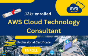 AWS Cloud Technology Consultant Professional Certificate