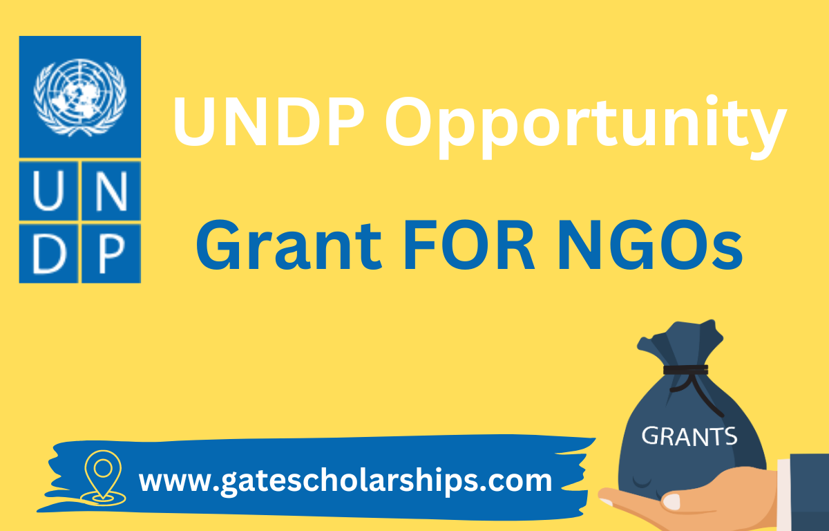 UNDP opportunity grant for NGOs